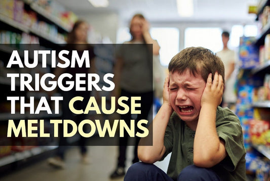 autism triggers meltdowns causes prevention tips for parents